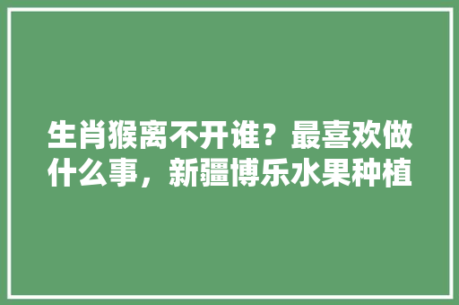 生肖猴离不开谁？最喜欢做什么事，新疆博乐水果种植基地在哪里。 生肖猴离不开谁？最喜欢做什么事，新疆博乐水果种植基地在哪里。 畜牧养殖