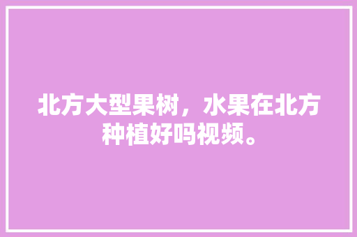 北方大型果树，水果在北方种植好吗视频。 北方大型果树，水果在北方种植好吗视频。 水果种植