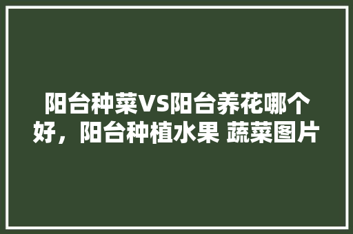 阳台种菜VS阳台养花哪个好，阳台种植水果 蔬菜图片。 阳台种菜VS阳台养花哪个好，阳台种植水果 蔬菜图片。 土壤施肥