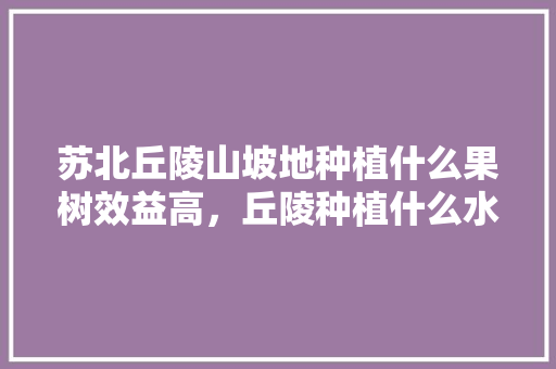 苏北丘陵山坡地种植什么果树效益高，丘陵种植什么水果好呢。 苏北丘陵山坡地种植什么果树效益高，丘陵种植什么水果好呢。 蔬菜种植