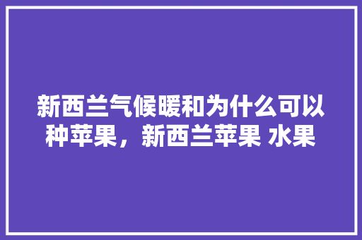 新西兰气候暖和为什么可以种苹果，新西兰苹果 水果种植技术。 新西兰气候暖和为什么可以种苹果，新西兰苹果 水果种植技术。 水果种植