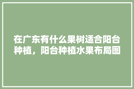 在广东有什么果树适合阳台种植，阳台种植水果布局图。 在广东有什么果树适合阳台种植，阳台种植水果布局图。 水果种植