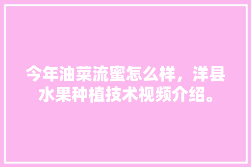 今年油菜流蜜怎么样，洋县水果种植技术视频介绍。 今年油菜流蜜怎么样，洋县水果种植技术视频介绍。 土壤施肥