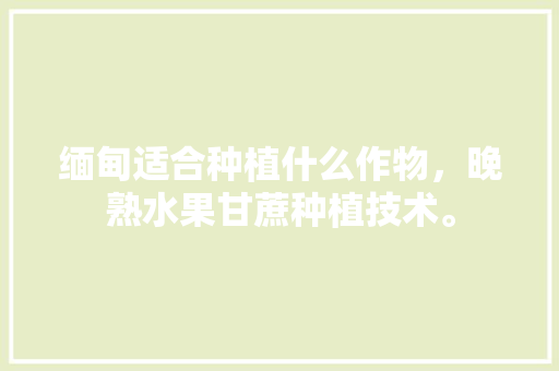 缅甸适合种植什么作物，晚熟水果甘蔗种植技术。 缅甸适合种植什么作物，晚熟水果甘蔗种植技术。 蔬菜种植