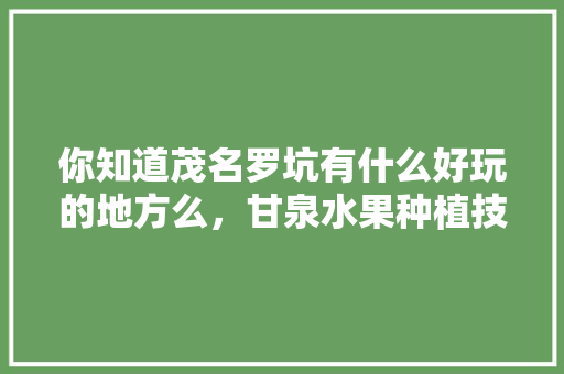 你知道茂名罗坑有什么好玩的地方么，甘泉水果种植技术视频。 你知道茂名罗坑有什么好玩的地方么，甘泉水果种植技术视频。 土壤施肥