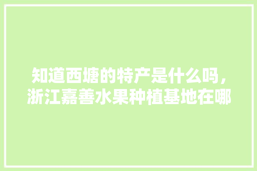 知道西塘的特产是什么吗，浙江嘉善水果种植基地在哪里。 知道西塘的特产是什么吗，浙江嘉善水果种植基地在哪里。 水果种植