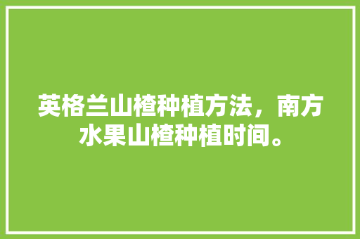 英格兰山楂种植方法，南方水果山楂种植时间。 英格兰山楂种植方法，南方水果山楂种植时间。 水果种植