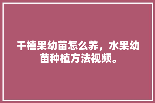 千禧果幼苗怎么养，水果幼苗种植方法视频。 千禧果幼苗怎么养，水果幼苗种植方法视频。 水果种植