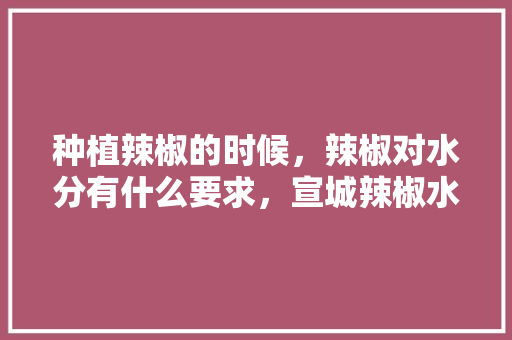 种植辣椒的时候，辣椒对水分有什么要求，宣城辣椒水果种植基地在哪里。 种植辣椒的时候，辣椒对水分有什么要求，宣城辣椒水果种植基地在哪里。 土壤施肥