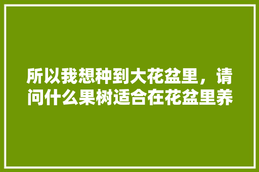 所以我想种到大花盆里，请问什么果树适合在花盆里养，什么水果可以种植花盆里。 所以我想种到大花盆里，请问什么果树适合在花盆里养，什么水果可以种植花盆里。 土壤施肥