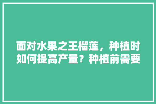 面对水果之王榴莲，种植时如何提高产量？种植前需要进行准备吗，榴莲的种植水果有哪些。 面对水果之王榴莲，种植时如何提高产量？种植前需要进行准备吗，榴莲的种植水果有哪些。 畜牧养殖