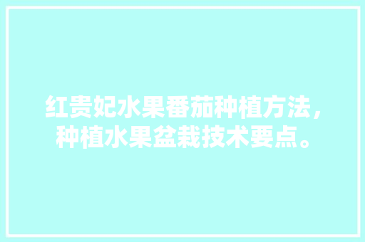 红贵妃水果番茄种植方法，种植水果盆栽技术要点。 红贵妃水果番茄种植方法，种植水果盆栽技术要点。 家禽养殖