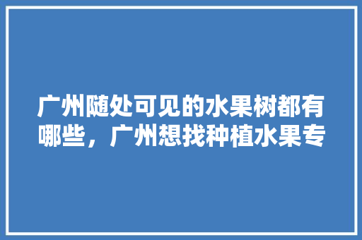 广州随处可见的水果树都有哪些，广州想找种植水果专家去哪里找。 广州随处可见的水果树都有哪些，广州想找种植水果专家去哪里找。 土壤施肥