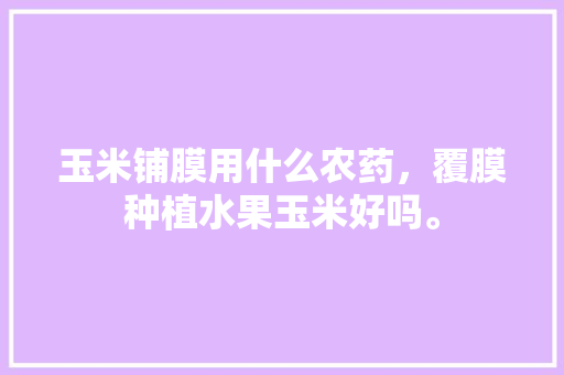 玉米铺膜用什么农药，覆膜种植水果玉米好吗。 玉米铺膜用什么农药，覆膜种植水果玉米好吗。 土壤施肥