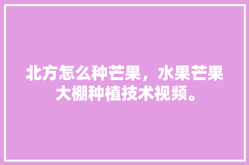 北方怎么种芒果，水果芒果大棚种植技术视频。 北方怎么种芒果，水果芒果大棚种植技术视频。 蔬菜种植