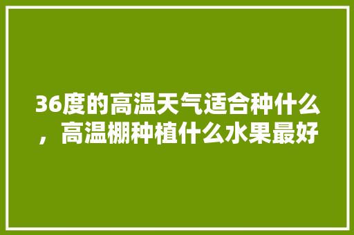 36度的高温天气适合种什么，高温棚种植什么水果最好。 36度的高温天气适合种什么，高温棚种植什么水果最好。 畜牧养殖