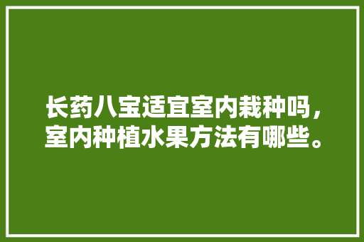 长药八宝适宜室内栽种吗，室内种植水果方法有哪些。 长药八宝适宜室内栽种吗，室内种植水果方法有哪些。 畜牧养殖