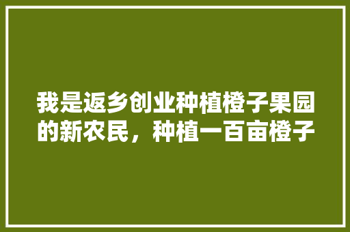 我是返乡创业种植橙子果园的新农民，种植一百亩橙子，现在想请教大家好的办法去销售，种植水果的销售方法有哪些。 我是返乡创业种植橙子果园的新农民，种植一百亩橙子，现在想请教大家好的办法去销售，种植水果的销售方法有哪些。 畜牧养殖