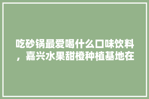 吃砂锅最爱喝什么口味饮料，嘉兴水果甜橙种植基地在哪里。 吃砂锅最爱喝什么口味饮料，嘉兴水果甜橙种植基地在哪里。 蔬菜种植