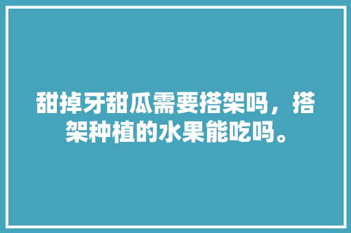 甜掉牙甜瓜需要搭架吗，搭架种植的水果能吃吗。 甜掉牙甜瓜需要搭架吗，搭架种植的水果能吃吗。 土壤施肥