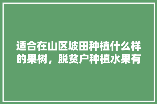 适合在山区坡田种植什么样的果树，脱贫户种植水果有补贴吗。 适合在山区坡田种植什么样的果树，脱贫户种植水果有补贴吗。 水果种植