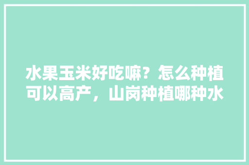 水果玉米好吃嘛？怎么种植可以高产，山岗种植哪种水果适合冬天种植。 水果玉米好吃嘛？怎么种植可以高产，山岗种植哪种水果适合冬天种植。 蔬菜种植