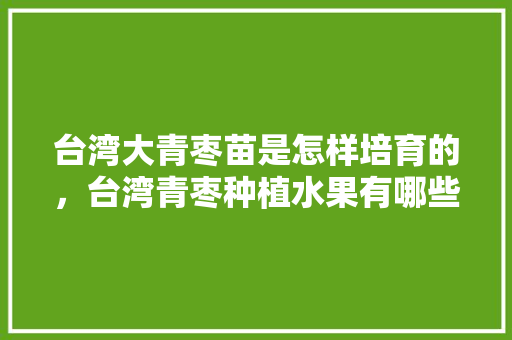 台湾大青枣苗是怎样培育的，台湾青枣种植水果有哪些。 台湾大青枣苗是怎样培育的，台湾青枣种植水果有哪些。 蔬菜种植