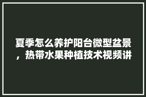 夏季怎么养护阳台微型盆景，热带水果种植技术视频讲解。 夏季怎么养护阳台微型盆景，热带水果种植技术视频讲解。 家禽养殖