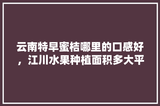 云南特早蜜桔哪里的口感好，江川水果种植面积多大平方米。 云南特早蜜桔哪里的口感好，江川水果种植面积多大平方米。 水果种植