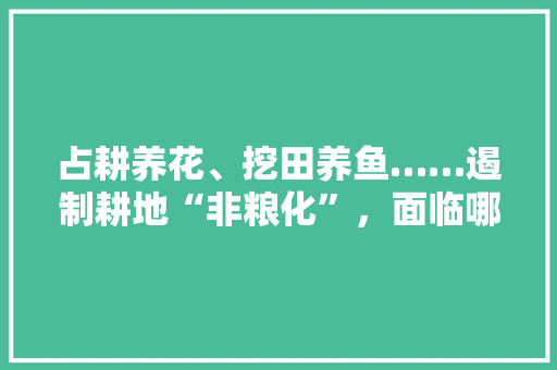 占耕养花、挖田养鱼……遏制耕地“非粮化”，面临哪些现实困境，不让种植蔬菜水果违法吗。 占耕养花、挖田养鱼……遏制耕地“非粮化”，面临哪些现实困境，不让种植蔬菜水果违法吗。 土壤施肥