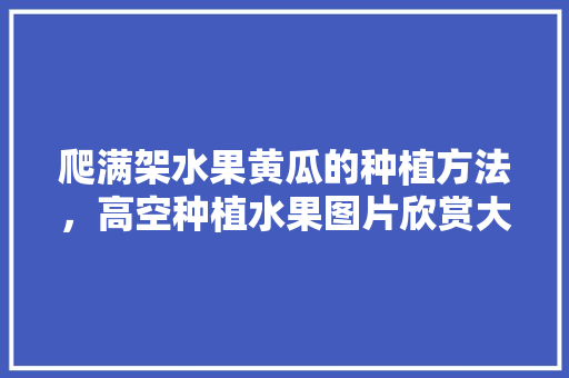 爬满架水果黄瓜的种植方法，高空种植水果图片欣赏大全。 爬满架水果黄瓜的种植方法，高空种植水果图片欣赏大全。 家禽养殖