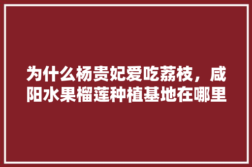 为什么杨贵妃爱吃荔枝，咸阳水果榴莲种植基地在哪里。 为什么杨贵妃爱吃荔枝，咸阳水果榴莲种植基地在哪里。 家禽养殖