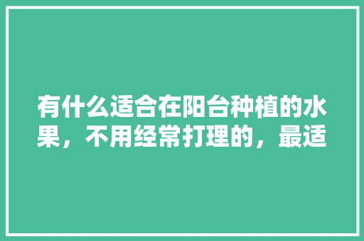 有什么适合在阳台种植的水果，不用经常打理的，最适合阳台盆栽水果。 有什么适合在阳台种植的水果，不用经常打理的，最适合阳台盆栽水果。 土壤施肥