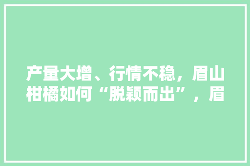 产量大增、行情不稳，眉山柑橘如何“脱颖而出”，眉山种植水果基地。 产量大增、行情不稳，眉山柑橘如何“脱颖而出”，眉山种植水果基地。 土壤施肥