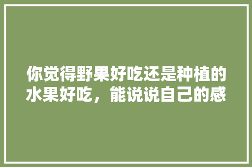 你觉得野果好吃还是种植的水果好吃，能说说自己的感受吗，果园种植哪种水果最好吃呢。 你觉得野果好吃还是种植的水果好吃，能说说自己的感受吗，果园种植哪种水果最好吃呢。 土壤施肥