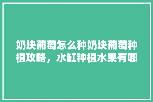 奶块葡萄怎么种奶块葡萄种植攻略，水缸种植水果有哪些。 奶块葡萄怎么种奶块葡萄种植攻略，水缸种植水果有哪些。 水果种植