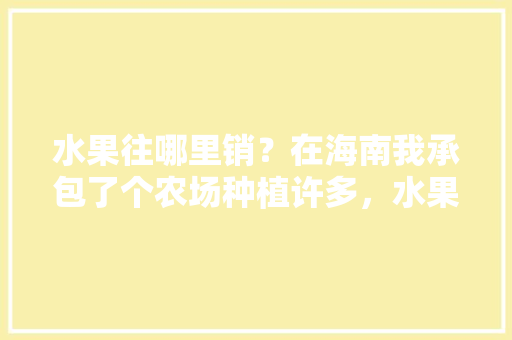 水果往哪里销？在海南我承包了个农场种植许多，水果种植去哪里卖好呢。 水果往哪里销？在海南我承包了个农场种植许多，水果种植去哪里卖好呢。 水果种植