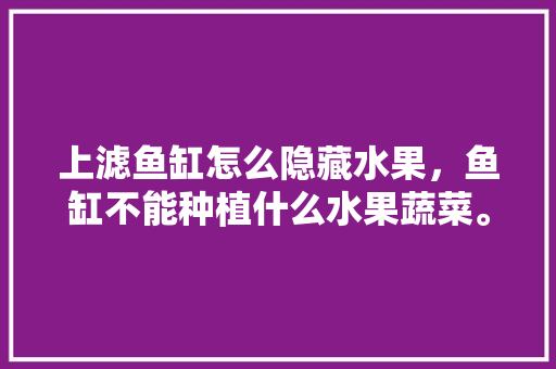 上滤鱼缸怎么隐藏水果，鱼缸不能种植什么水果蔬菜。 上滤鱼缸怎么隐藏水果，鱼缸不能种植什么水果蔬菜。 水果种植