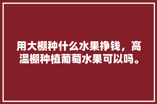 用大棚种什么水果挣钱，高温棚种植葡萄水果可以吗。 用大棚种什么水果挣钱，高温棚种植葡萄水果可以吗。 畜牧养殖