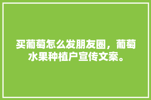 买葡萄怎么发朋友圈，葡萄水果种植户宣传文案。 买葡萄怎么发朋友圈，葡萄水果种植户宣传文案。 家禽养殖