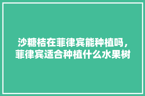 沙糖桔在菲律宾能种植吗，菲律宾适合种植什么水果树。 沙糖桔在菲律宾能种植吗，菲律宾适合种植什么水果树。 水果种植