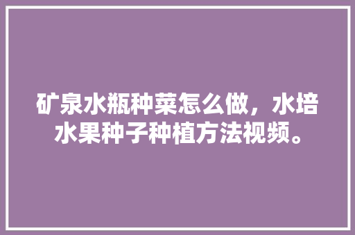 矿泉水瓶种菜怎么做，水培水果种子种植方法视频。 矿泉水瓶种菜怎么做，水培水果种子种植方法视频。 水果种植