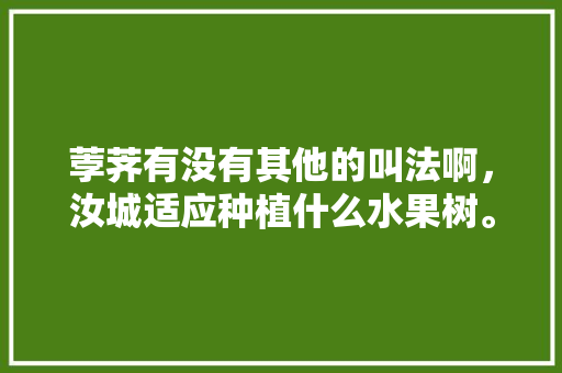 荸荠有没有其他的叫法啊，汝城适应种植什么水果树。 荸荠有没有其他的叫法啊，汝城适应种植什么水果树。 水果种植