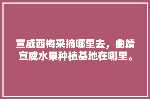 宣威西梅采摘哪里去，曲靖宣威水果种植基地在哪里。 宣威西梅采摘哪里去，曲靖宣威水果种植基地在哪里。 家禽养殖