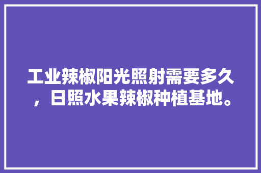 工业辣椒阳光照射需要多久，日照水果辣椒种植基地。 工业辣椒阳光照射需要多久，日照水果辣椒种植基地。 蔬菜种植