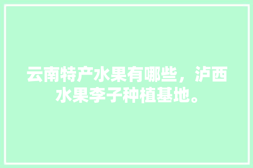 云南特产水果有哪些，泸西水果李子种植基地。 云南特产水果有哪些，泸西水果李子种植基地。 水果种植