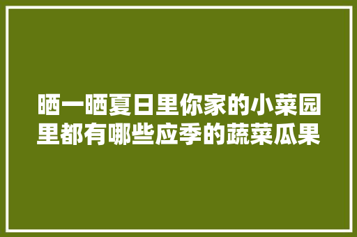 晒一晒夏日里你家的小菜园里都有哪些应季的蔬菜瓜果，水果蔬菜种植花园图片。 晒一晒夏日里你家的小菜园里都有哪些应季的蔬菜瓜果，水果蔬菜种植花园图片。 蔬菜种植