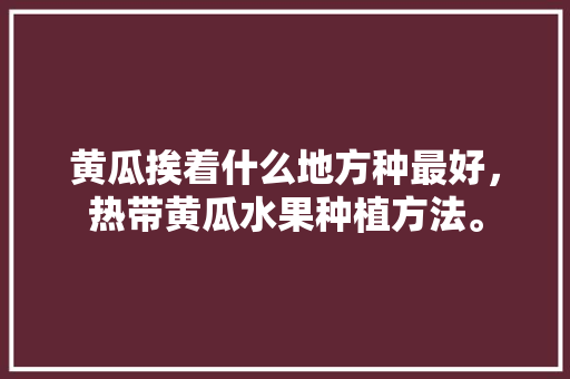 黄瓜挨着什么地方种最好，热带黄瓜水果种植方法。 黄瓜挨着什么地方种最好，热带黄瓜水果种植方法。 土壤施肥