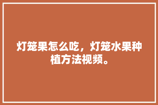 灯笼果怎么吃，灯笼水果种植方法视频。 灯笼果怎么吃，灯笼水果种植方法视频。 土壤施肥