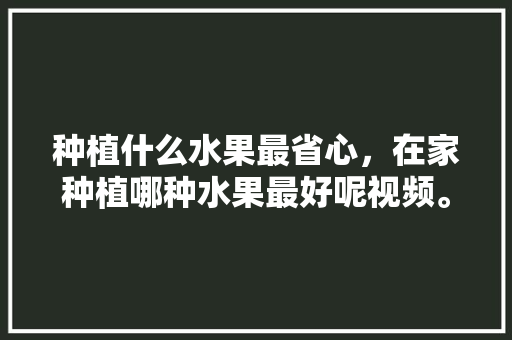 种植什么水果最省心，在家种植哪种水果最好呢视频。 种植什么水果最省心，在家种植哪种水果最好呢视频。 畜牧养殖